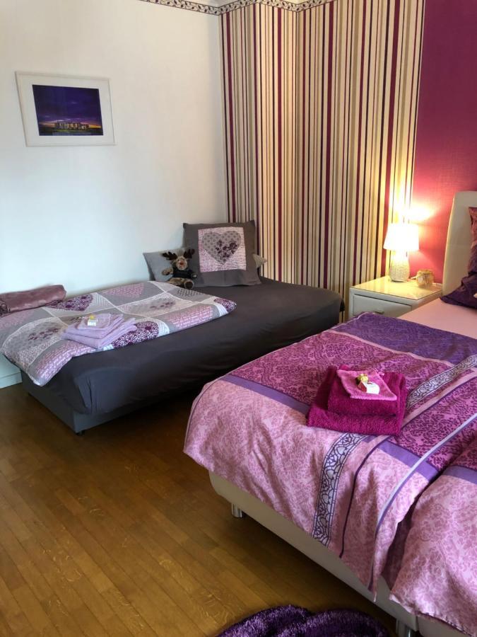 Haus Zissi Βίλα Burg Reuland Εξωτερικό φωτογραφία